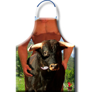 Schürzen
