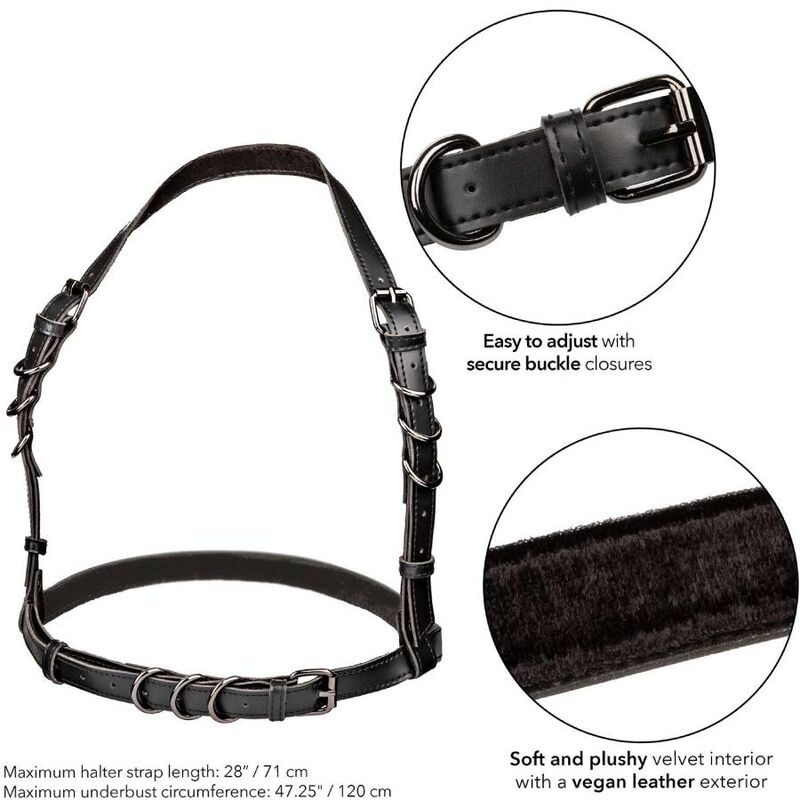 CALEXOTICS - EUPHORIA PLUS SIZE HOLDER BUCKLE HARNESS BLACK