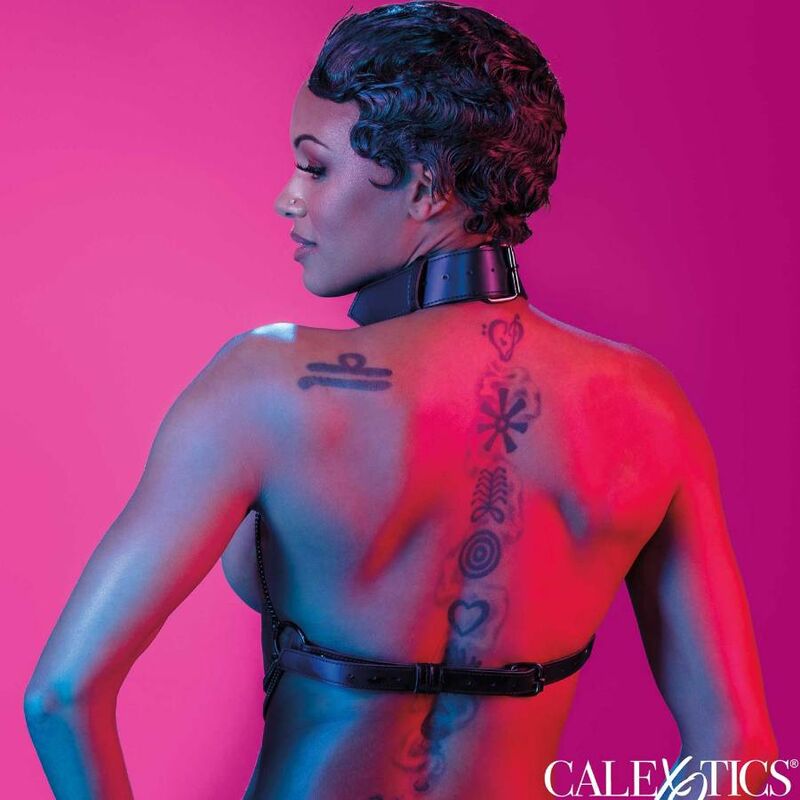 CALEXOTICS - EUPHORIA MULTI-CHAIN COLLAR HARNESS