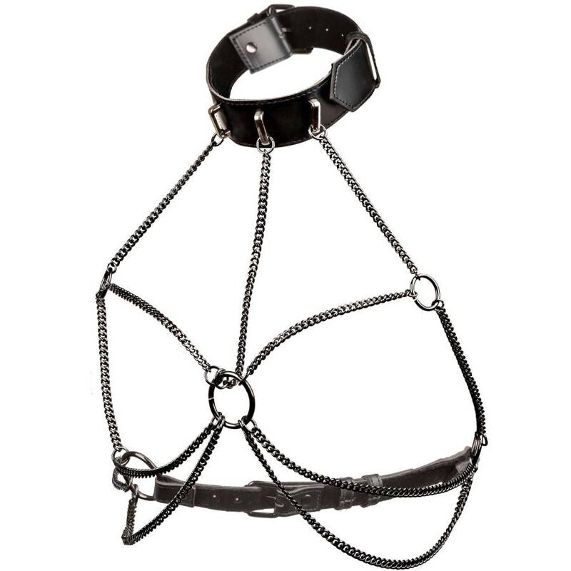 CALEXOTICS - EUPHORIA PLUS SIZE MULTI-CHAIN COLLAR HARNESS
