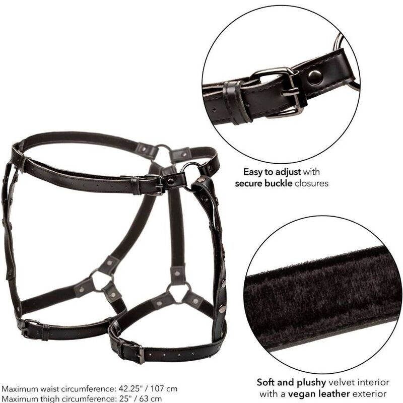 CALEXOTICS - EUPHORIA RIDING TOP HARNESS