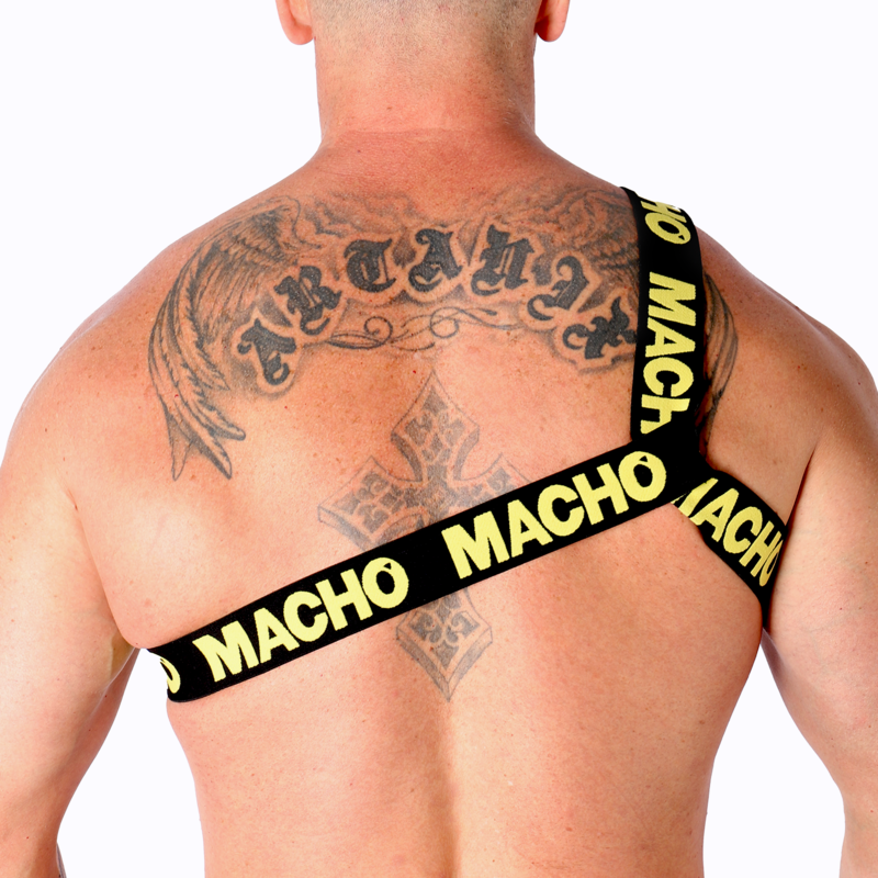 MACHO - RÖMISCHES GESCHIRR PRIDE L/XL
